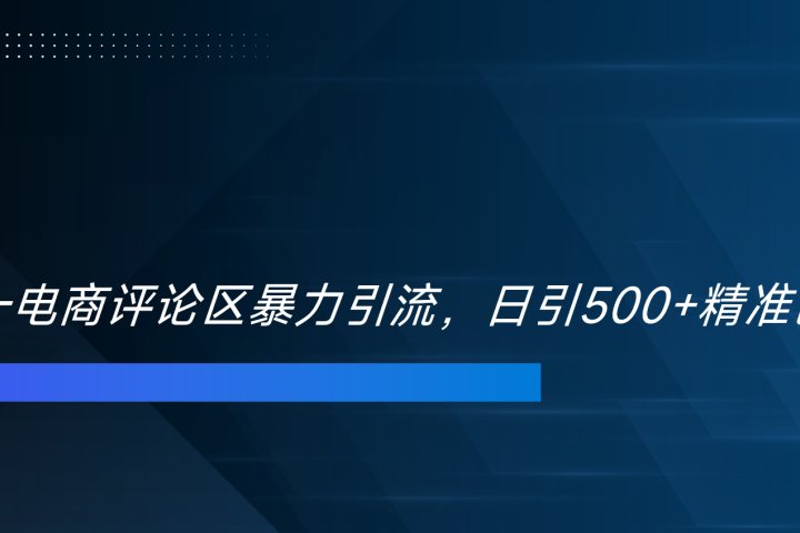 双十一电商评论区暴力引流，日引500+精准创业粉！！！-富翁研习社