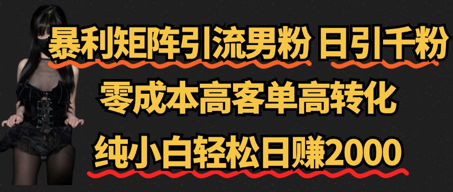 暴利矩阵引流男粉（日引千粉），零成本高客单高转化，纯小白轻松日赚2000+-富翁研习社