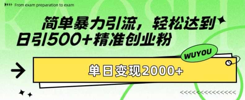 简单暴力引流轻松达到日引500+精准创业粉，单日变现2k【揭秘】-富翁研习社
