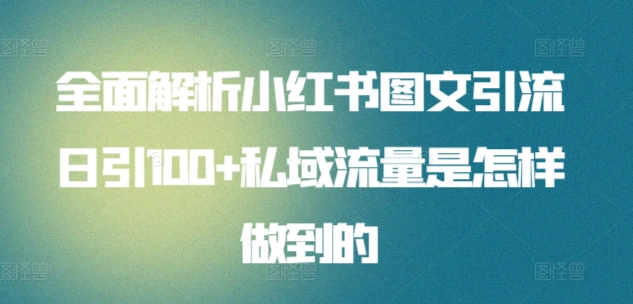 暴力引流 小红书图文引流日引100私域全面拆解【打粉人必看】-富翁研习社