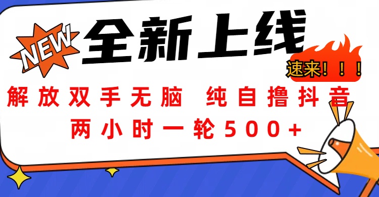 解放双手无脑 纯自撸抖音 两小时一轮500+-富翁研习社